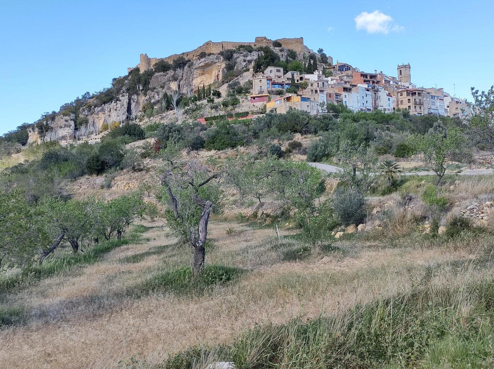 Tranquil And Spacious Townhouse In Historical And Picturesque Cervera Del Maestre エクステリア 写真